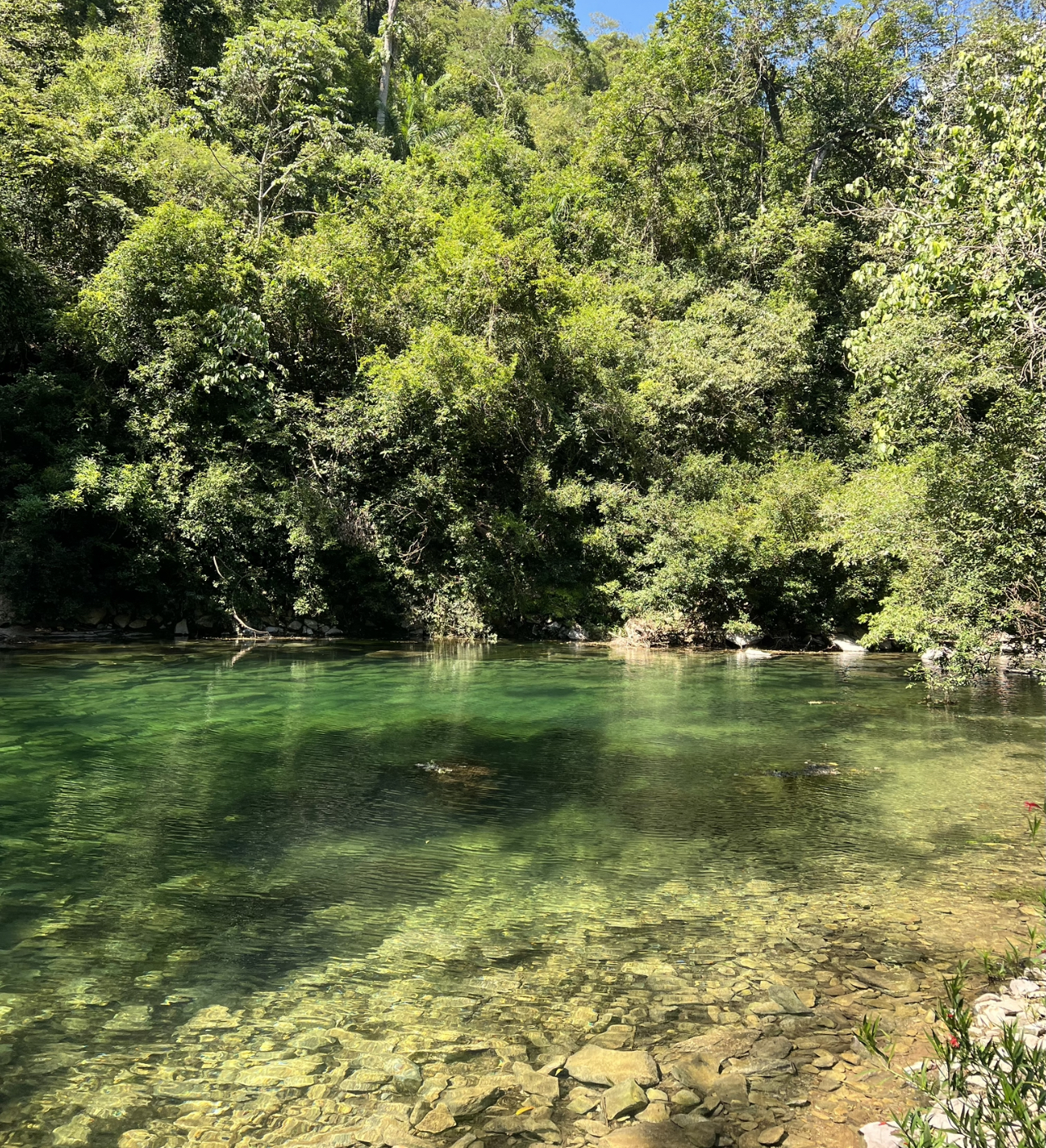 Trilha do Poção - Parque Nacional da Serra da Bodoquena